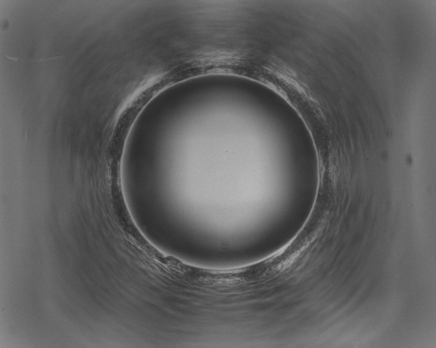 X0000078241309200611031100