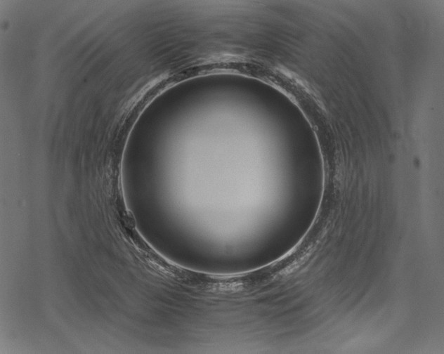 X0000078241313200611031100