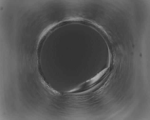 X0000078241319200611031100