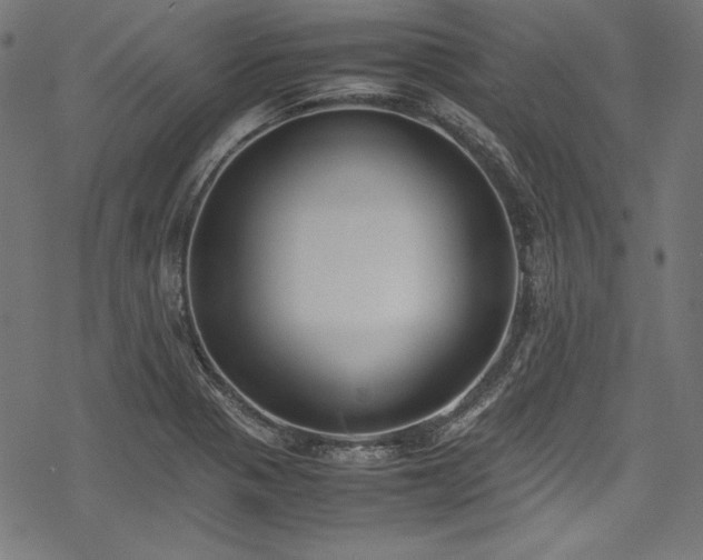 X0000078241321200611031100