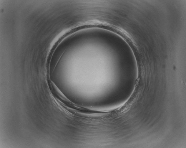 X0000078241326200611031100