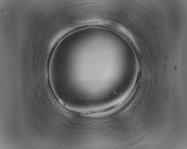 X0000078241328200611031100