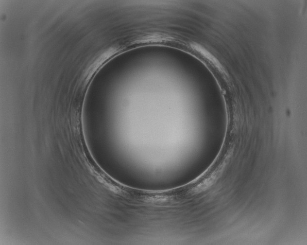 X0000078241329200611031100