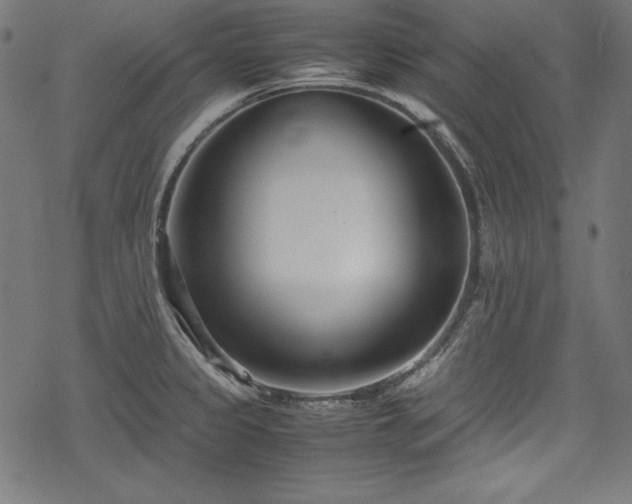 X0000078241333200611031100