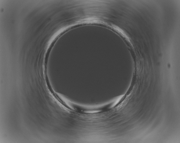 X0000078241334200611031100