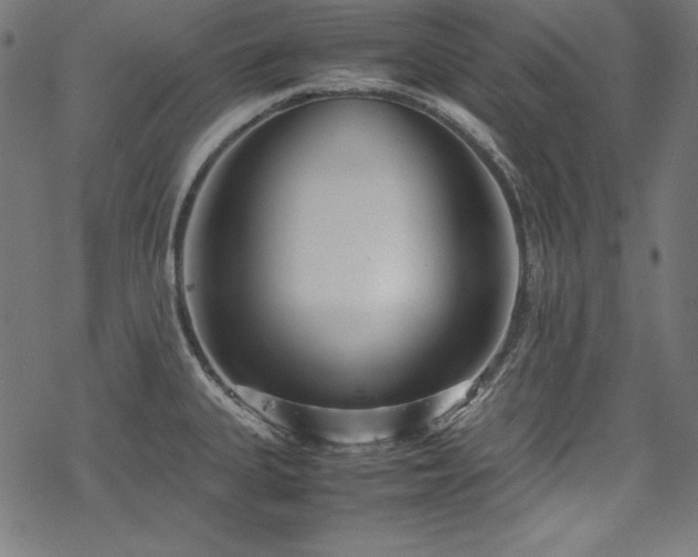 X0000078241335200611031100