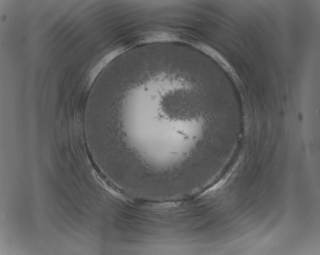 X0000078241337200611031100