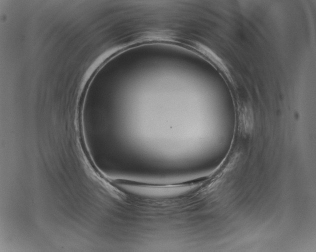 X0000078241339200611031100