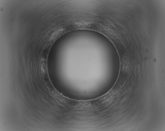 X0000078241346200611031059