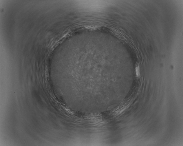 X0000078241347200611031059