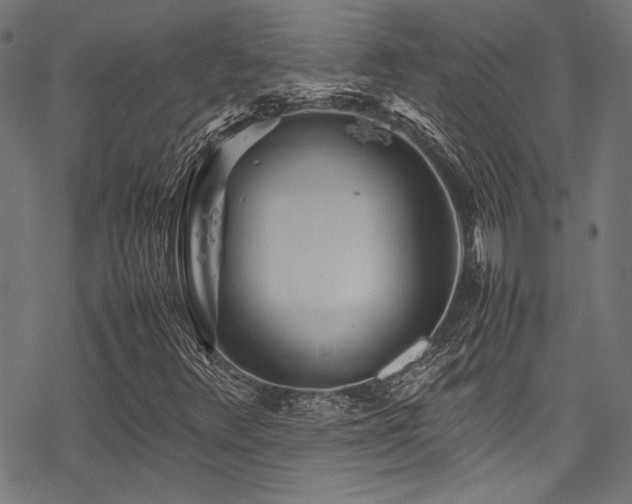 X0000078241348200611031059