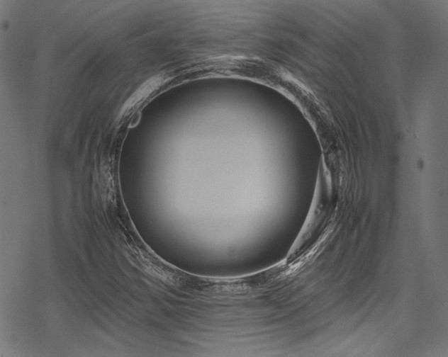 X0000078241354200611031059