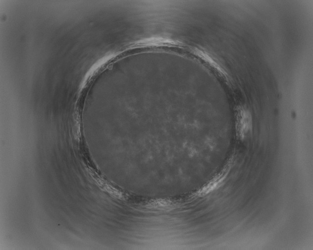 X0000078241358200611031059