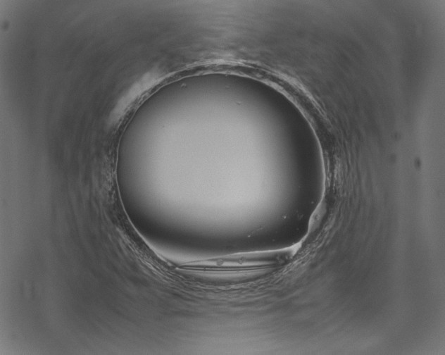 X0000078241359200611031059