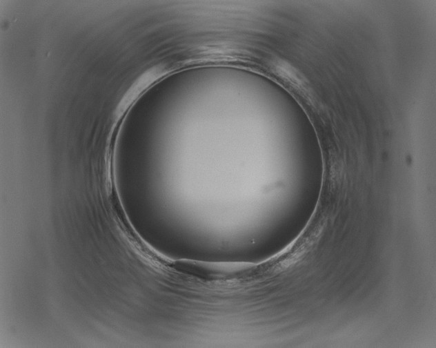 X0000078241370200611031059