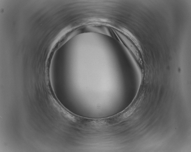 X0000078241384200611031059