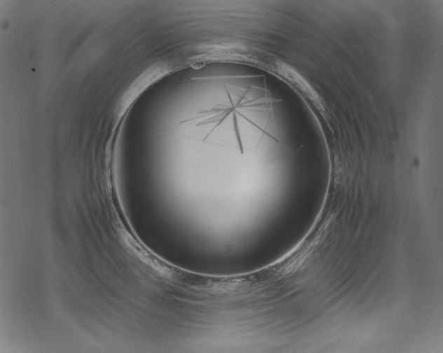 X0000078241386200611031059