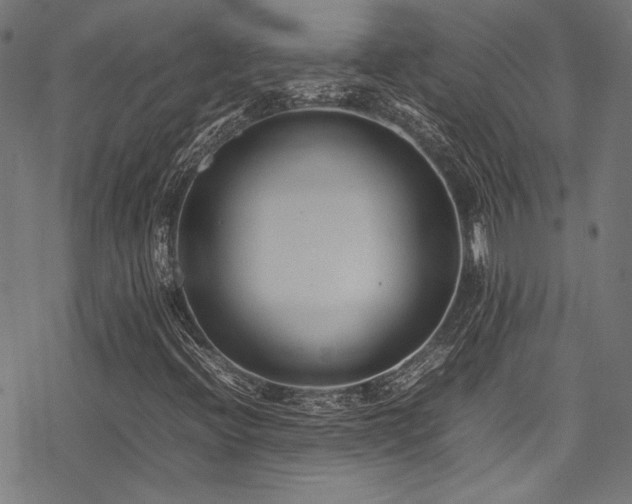 X0000078241396200611031058