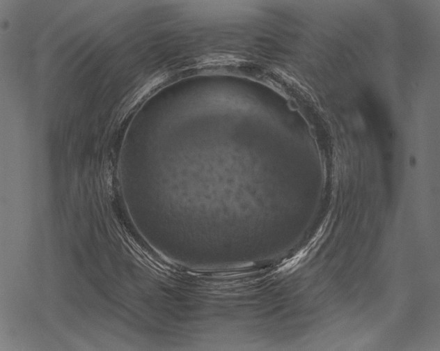 X0000078241401200611031058