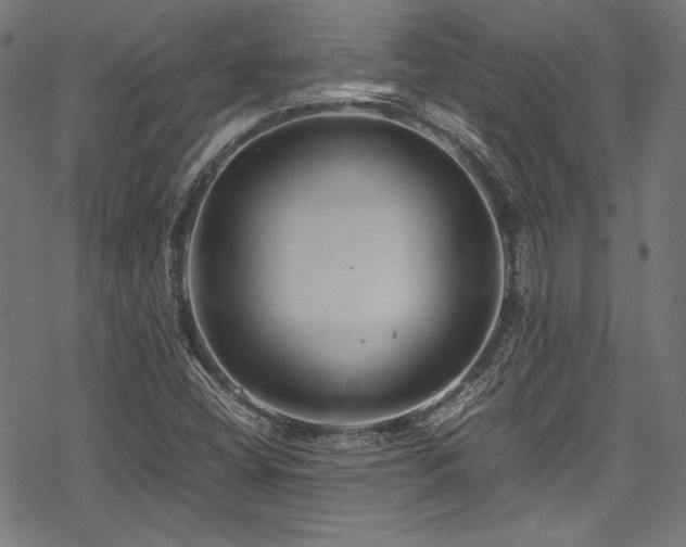 X0000078241404200611031058