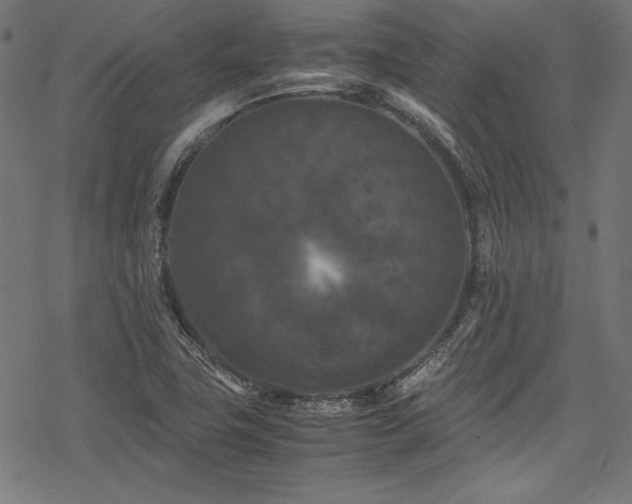 X0000078241411200611031058