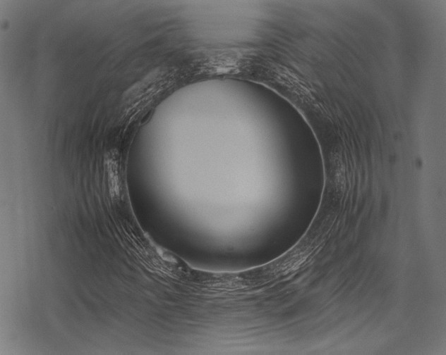 X0000078241442200611031058