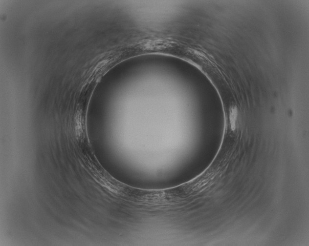 X0000078241444200611031058