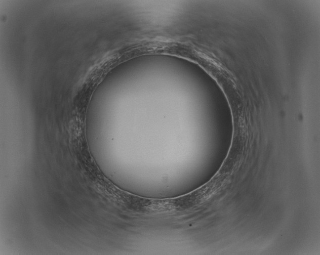 X0000078241447200611031058