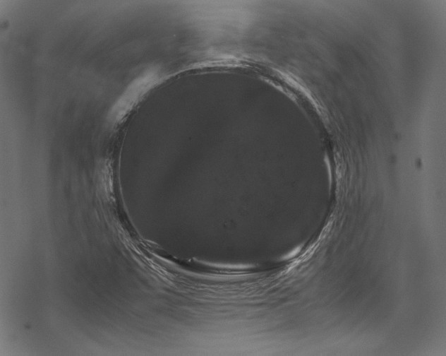 X0000078241455200611031058