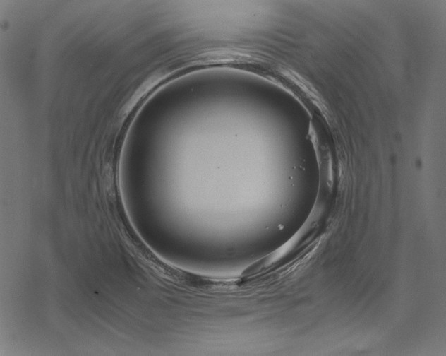 X0000078241465200611031058