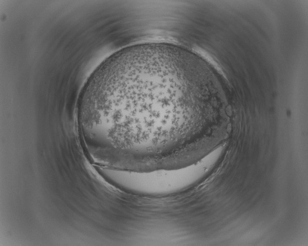 X0000078241468200611031057