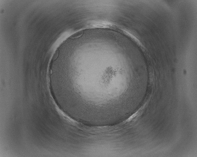 X0000078241471200611031057