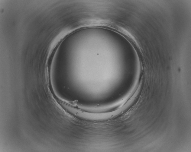 X0000078241472200611031057