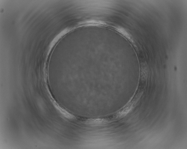 X0000078241474200611031057