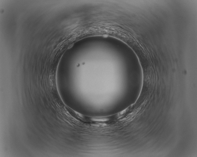 X0000078241490200611031056
