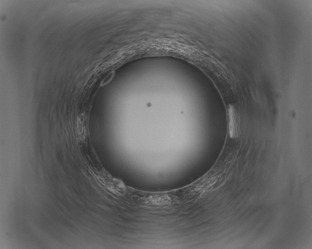 X0000078241491200611031056