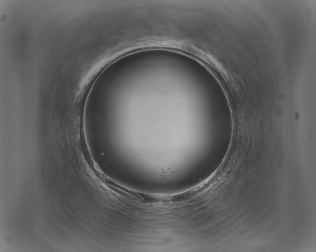 X0000078241504200611031057