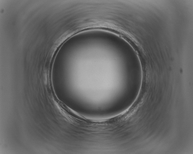X0000078241513200611031057