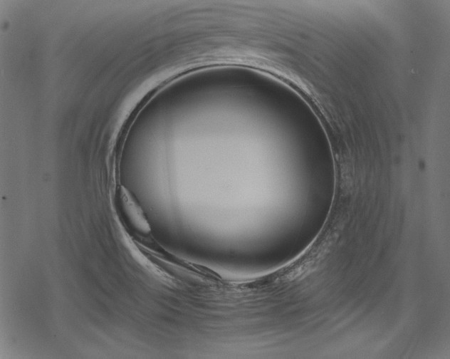 X0000078241515200611031057