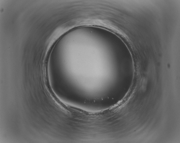 X0000078241517200611031057