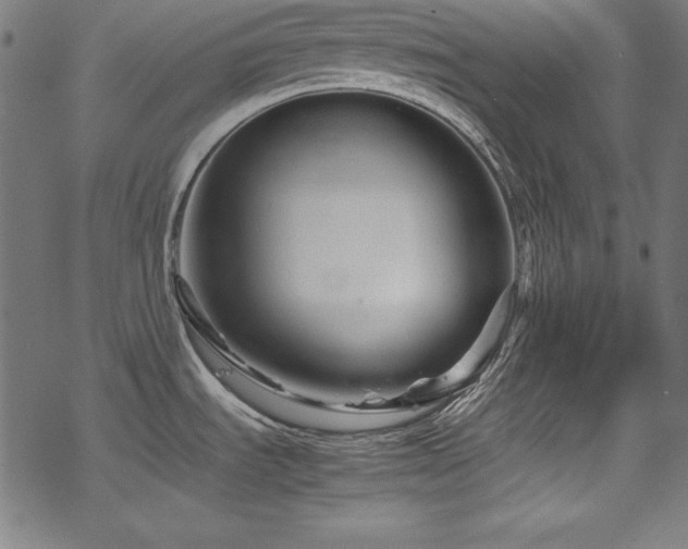 X0000078241535200611031057