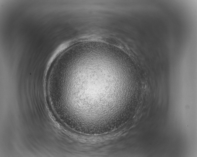 X0000078240006200611101047