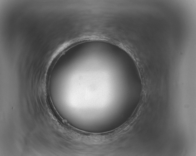 X0000078240008200611101047