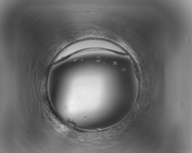 X0000078240009200611101047