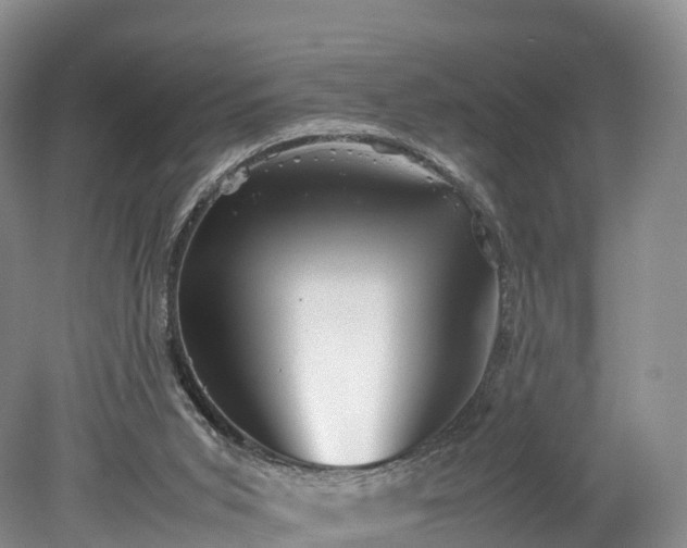 X0000078240015200611101047