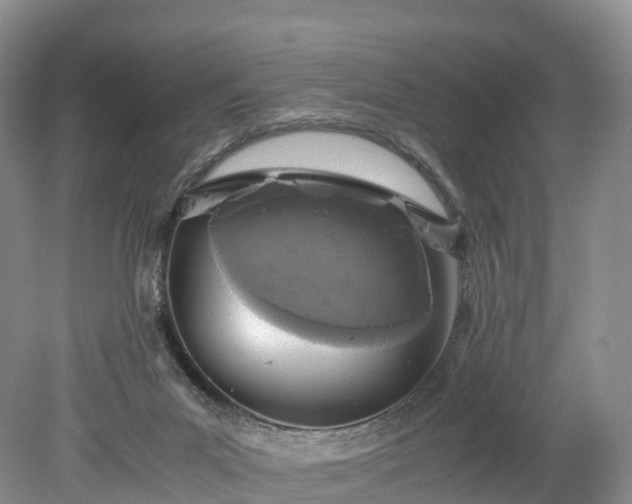 X0000078240023200611101047