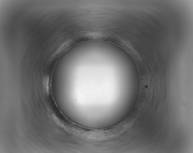 X0000078240024200611101047