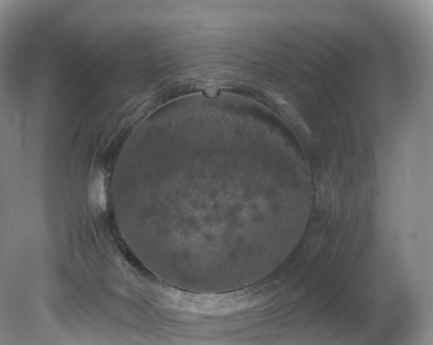 X0000078240026200611101047