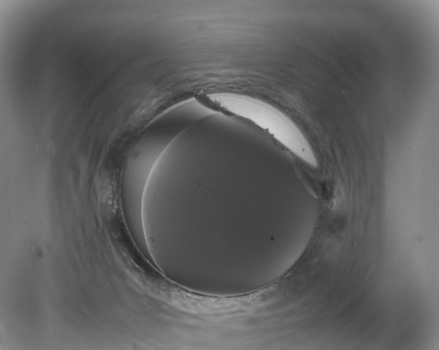X0000078240031200611101047