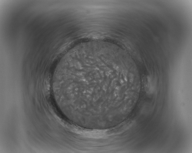 X0000078240032200611101047